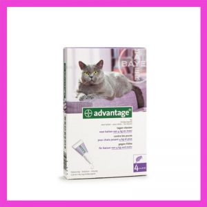 Advantage Large Cat Over 4kg Flea Treatment 4’s